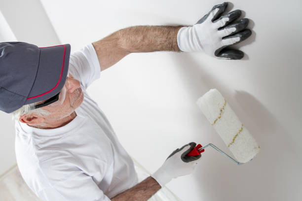 Best Water-Damaged Drywall Repair  in Dell Rapids, SD